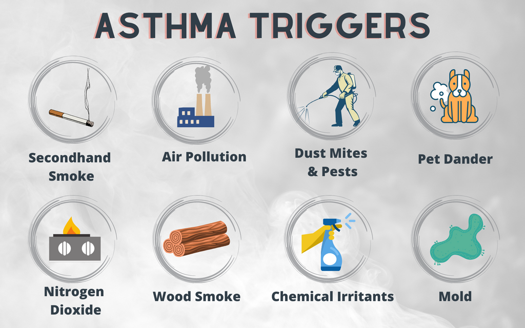 asthma triggers graphic