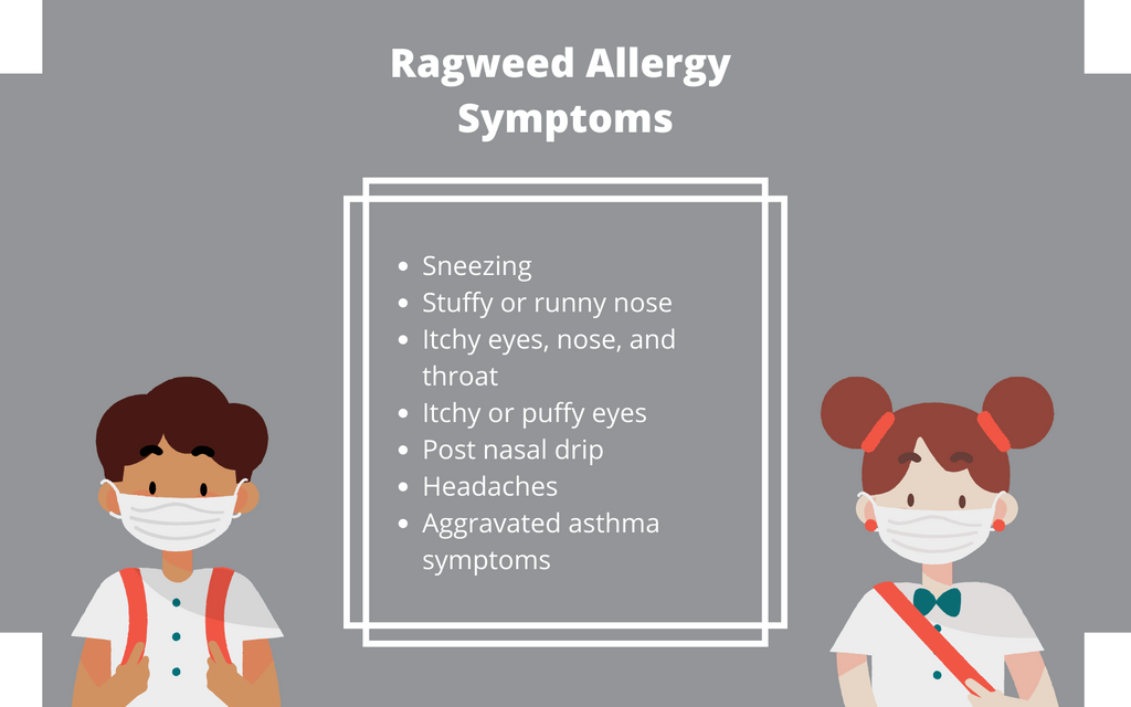 ragweed allergy symptoms