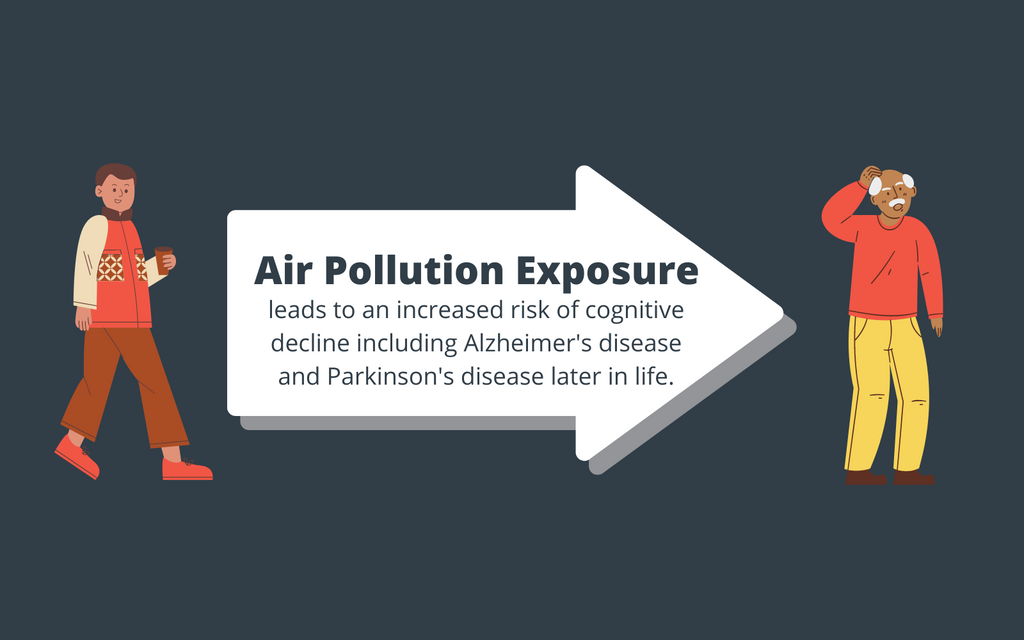 air pollution exposure leads to an increased risk of dementia