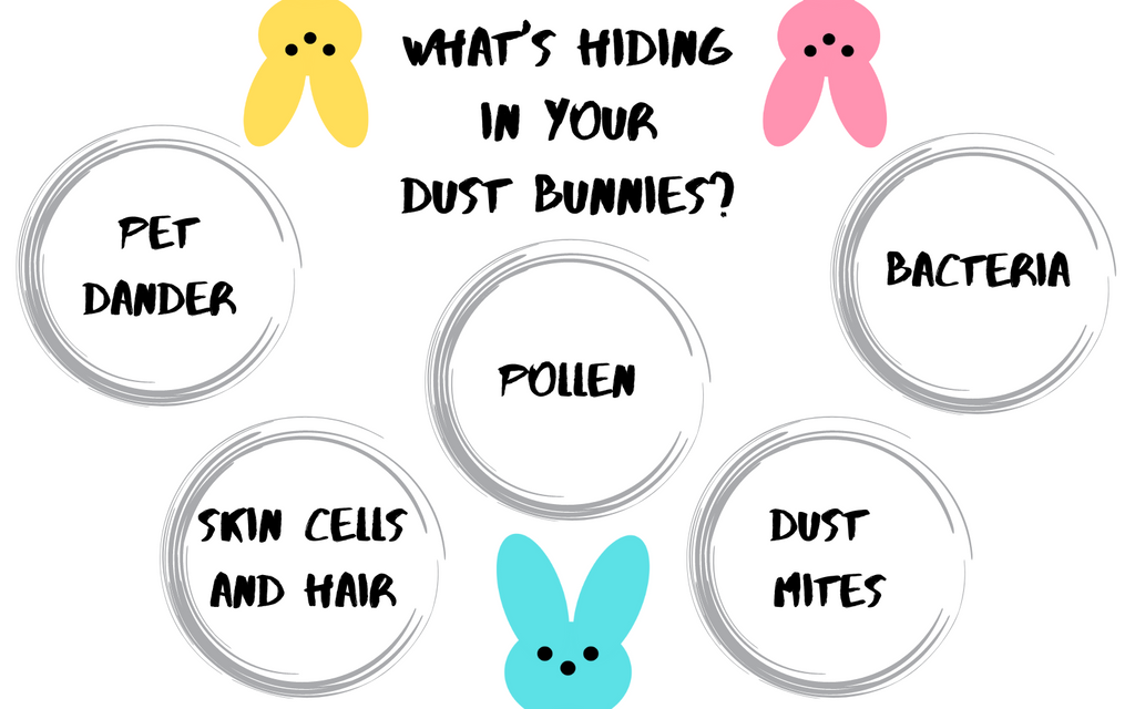 what's hiding in your dust bunnies?