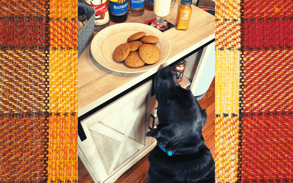 dog trying to sneak away with gingersnap cookies