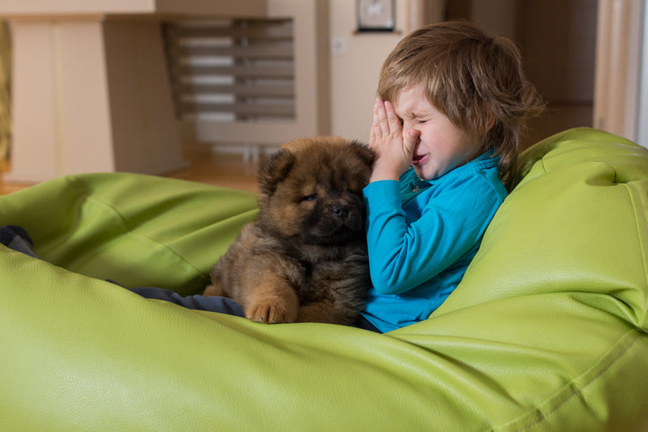 boy with pet allergies