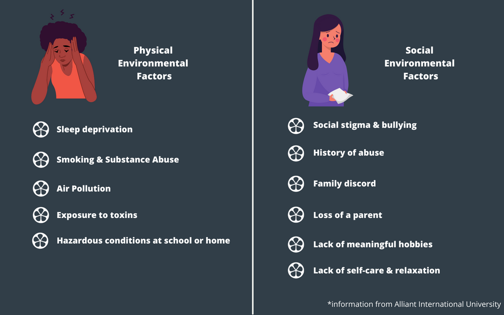 physical and social environmental factors in children's mental health