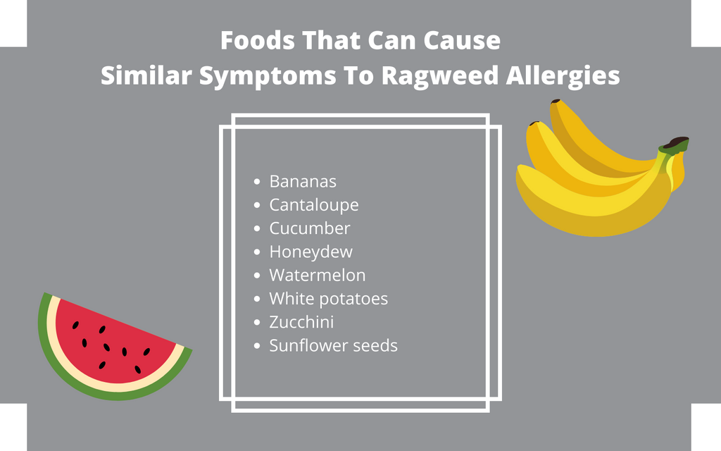 foods that can cause similar symptoms to ragweed allergy