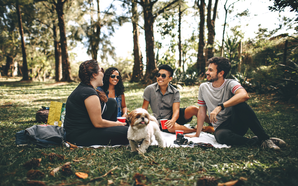 friends and their dog having fun outside at a picnic