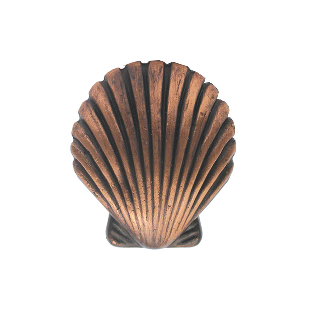 Solid brass seashell-shaped knob. - Whitehaus Collection