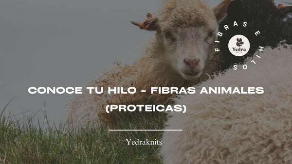 CONOCE TU HILO - Fibras Animales (Proteicas)