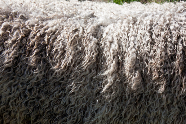 Rizos de lana