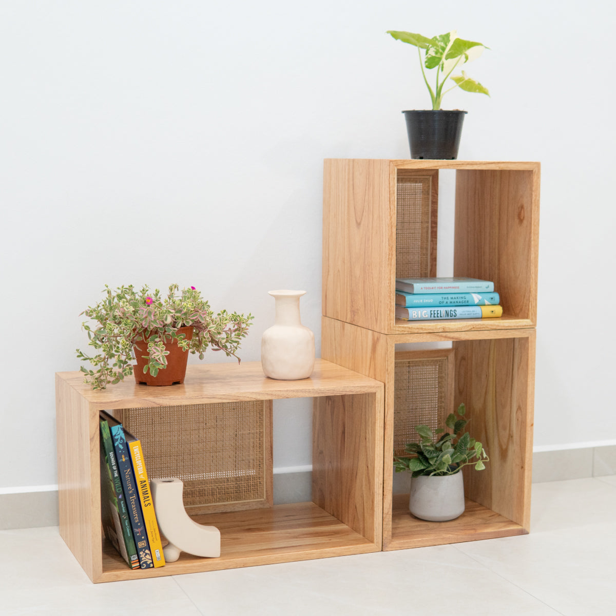 Summer's Modular Stackable Storage & Display Cases | Kathy's Cove Singapore