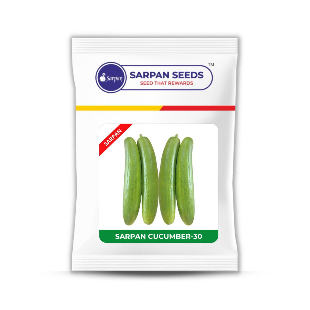 Sarpan Cucumber –SCU-30