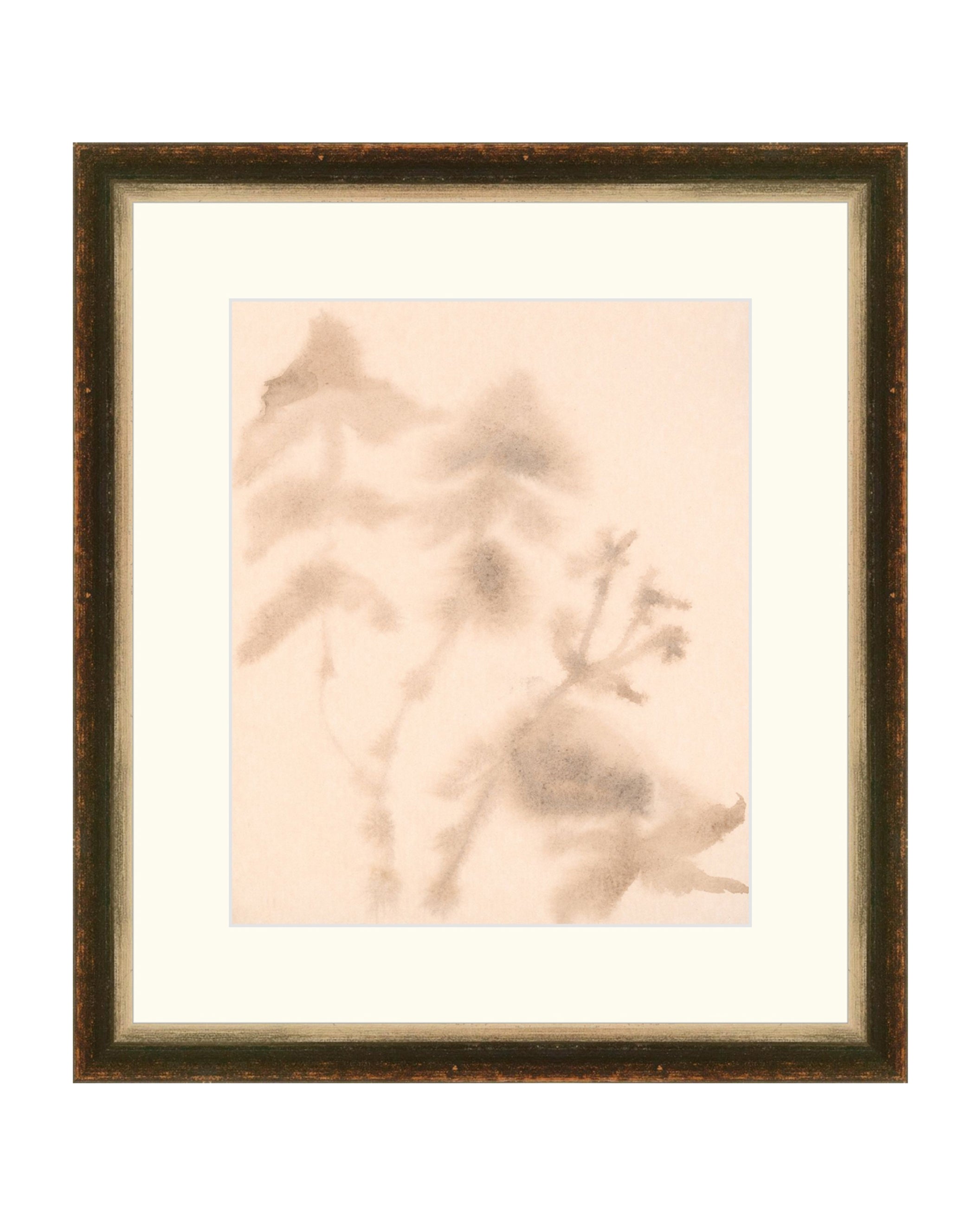 Abstract Botany Study