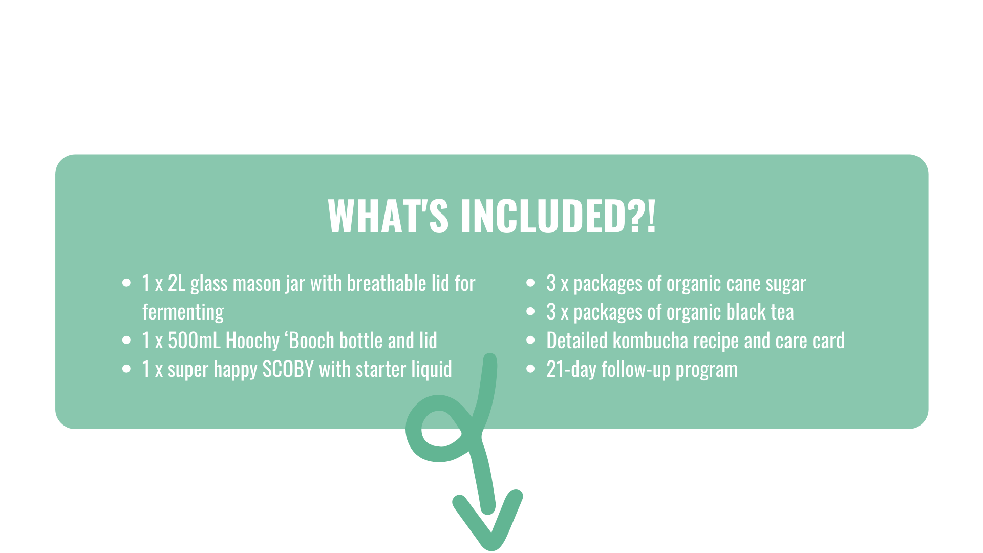 Hoochy 'Booch Kombucha what's included in the starter kit