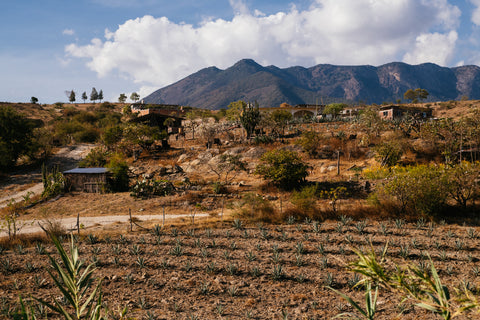 Oaxacan Land, Copyright Karen Santos 2021