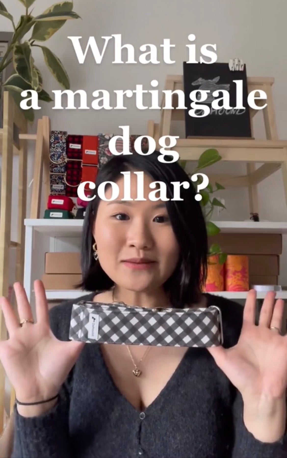 What is a martingale dog collar?