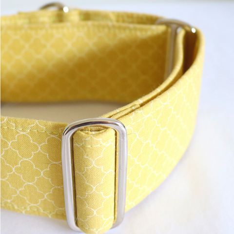 Martingale Dog Collar with Fabric