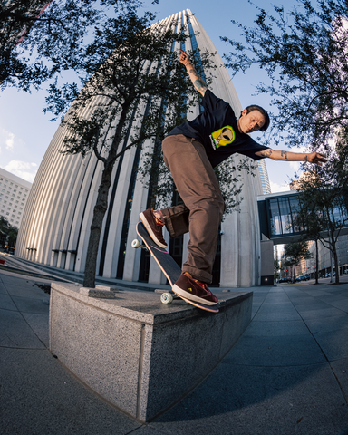 david-langston-backside-noseblunt-alien-workshop-x-southside-skatepark-photo-sean-balusek