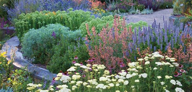 A PASTEL BORDER OF MODERN HERBACEOUS PERENNIALS AT HERONSWOOD