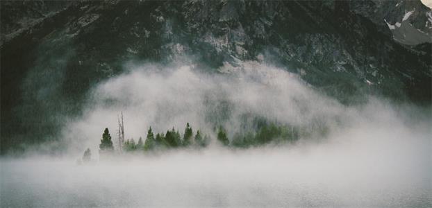 FORESTS GENERATE CLOUDS OF SELF-REPLENISHING RAIN!