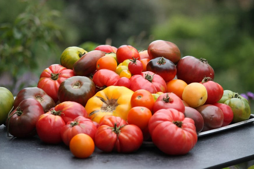 Grow the Perfect Tomato.jpg__PID:a044eecd-96dd-4522-86ce-49ea11cd3e61