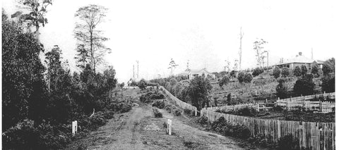 Living on the edge - early 20th century photo of houses and cleared paddocks in the Dandenong Ranges. 