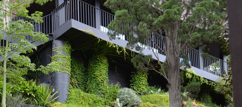 Melbourne garden, eckersley garden architecture