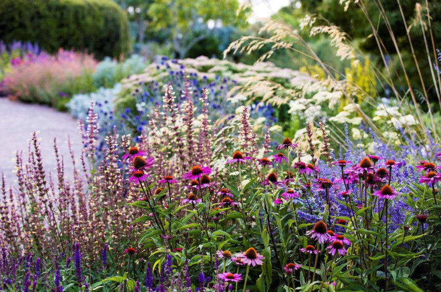 Perfecting Perennial Borders.jpg__PID:a1f222f7-e17d-46c5-8783-75da6dab547e