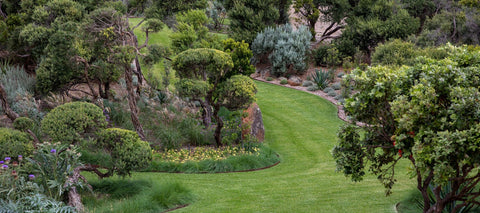 Yarra valley garden, lisa ellis gardens