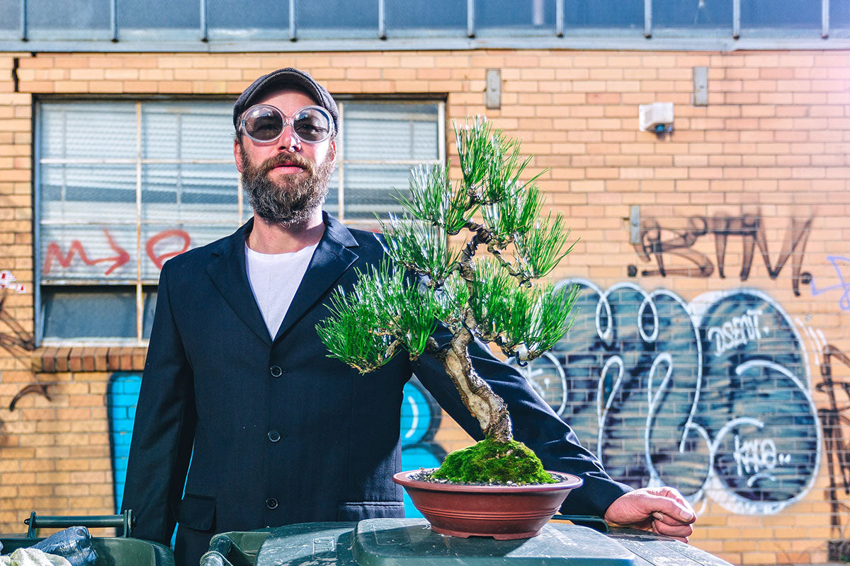 Bonsai artists Jeff Barry with one of his trees in an urban setting.