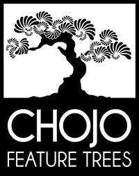 chojo-logo.jpg__PID:e30f2b73-6831-4613-a444-25567020ccfe