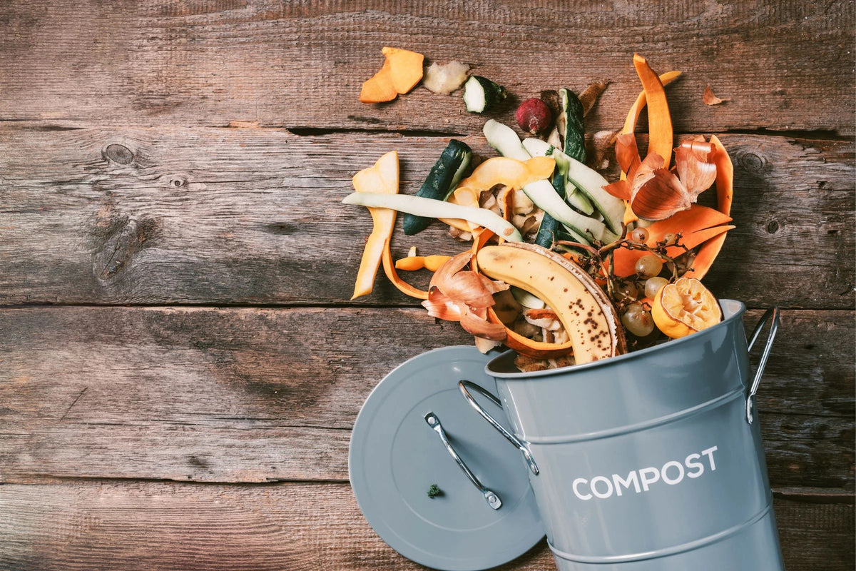 composting--soil-health-1659670876591.jpg__PID:c64222a3-3732-4159-b077-37c5f60fddff