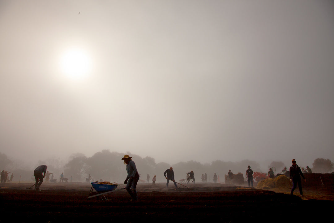 farm_in_fog.jpg__PID:a41104bc-53ec-4a7a-b405-5f6049501520