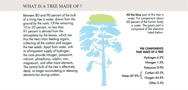 what are trees made of
