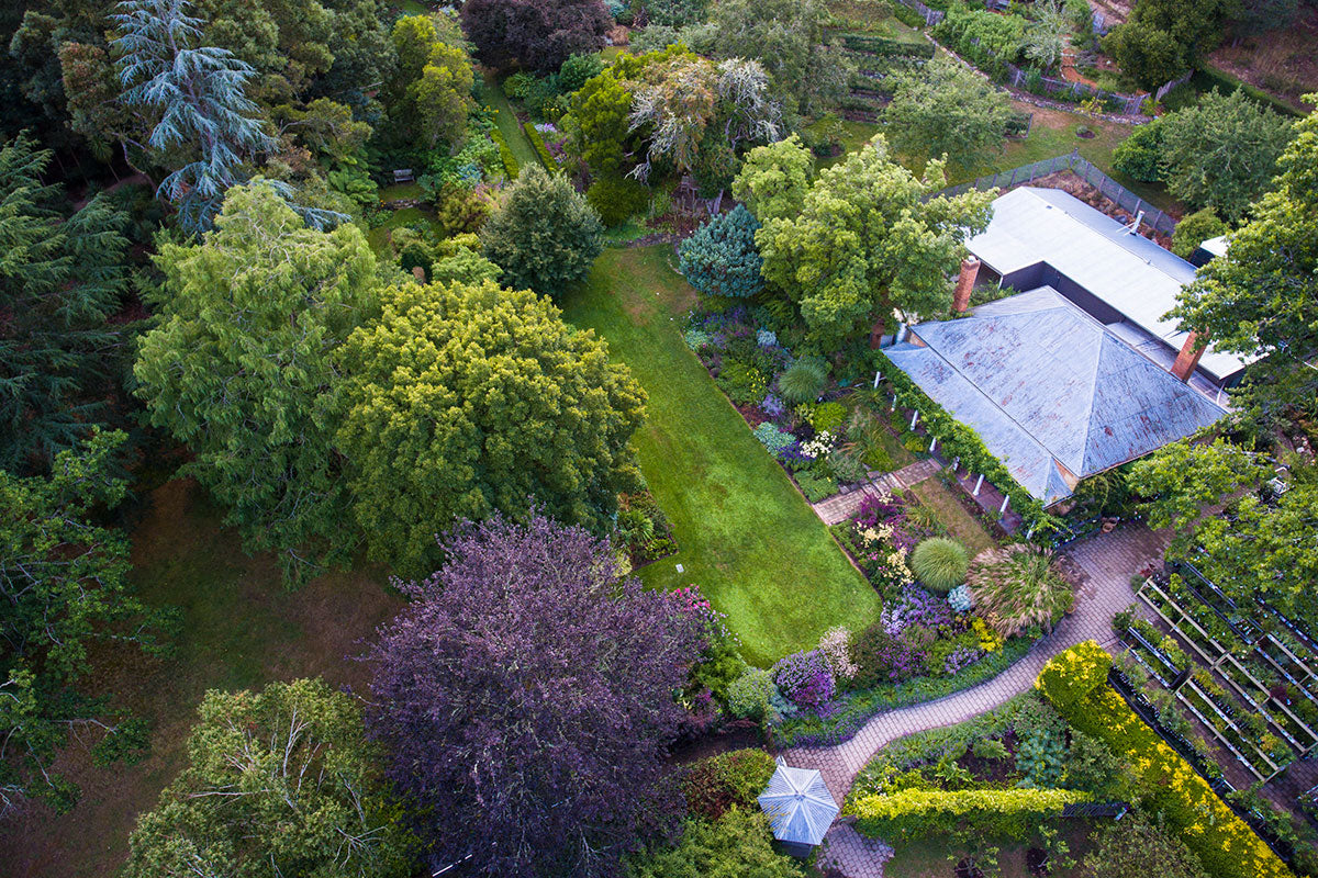 An aerial view of The Garden of St Erth.