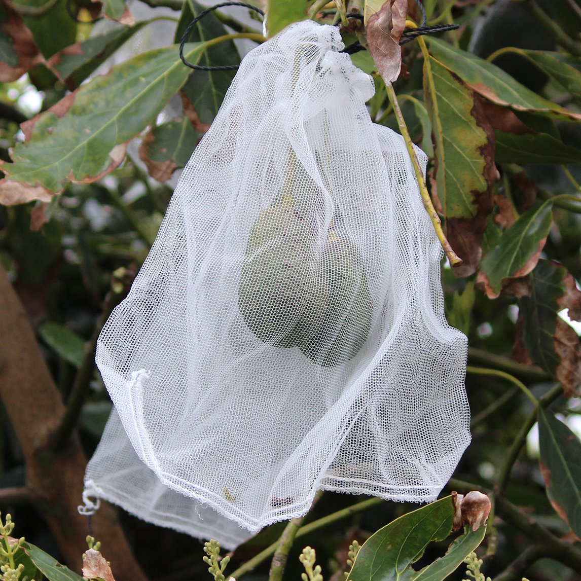 fruit protection mesh bags