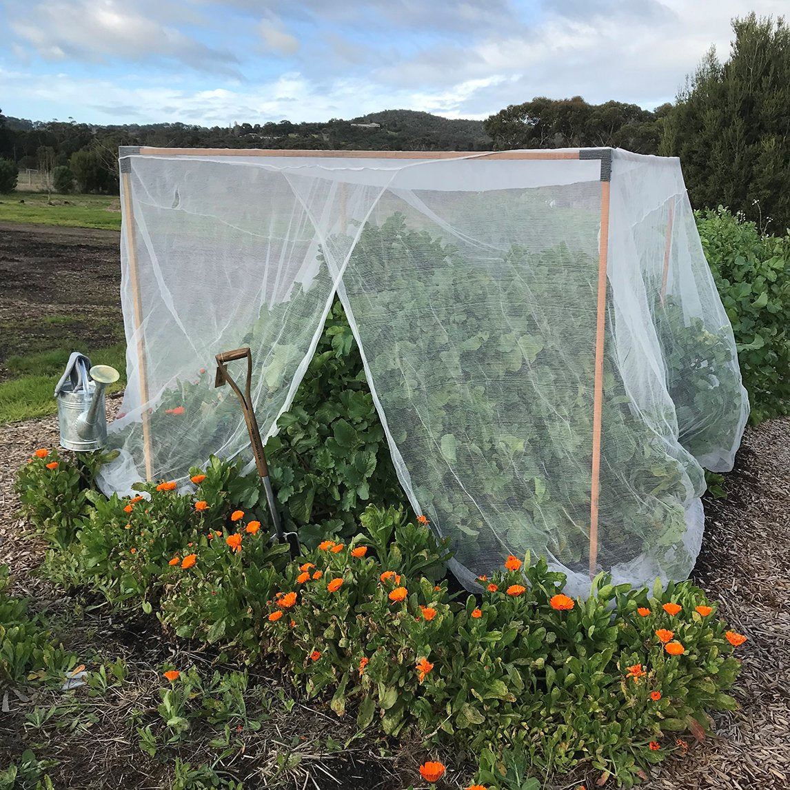Fine Woven Vegetable Net 5 X 2.9m - The Diggers Club