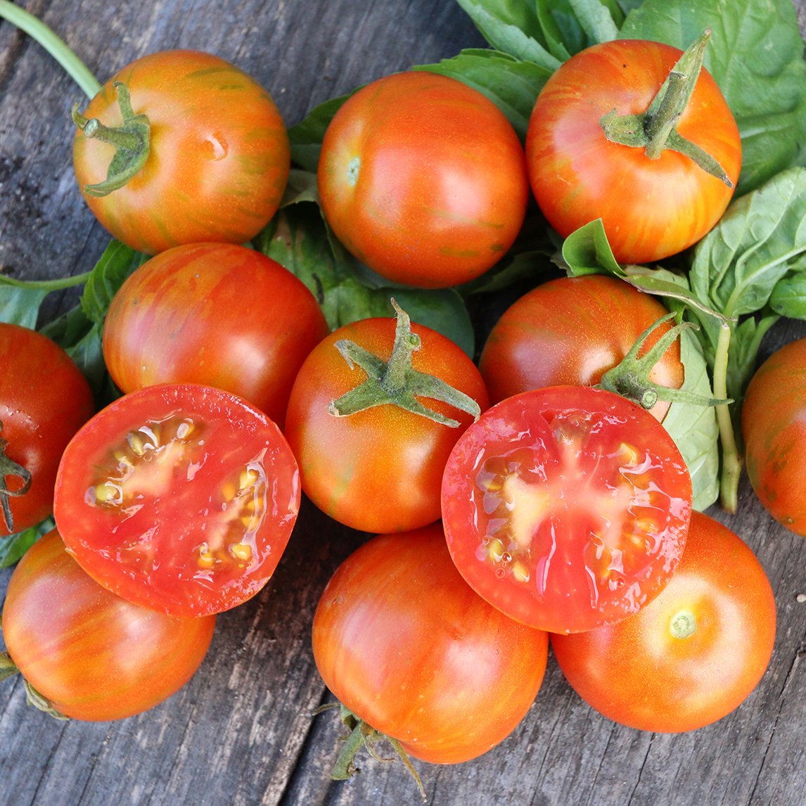 Tomato 'Brandywine' Organic - The Diggers Club