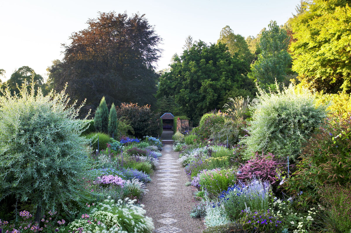 Cloudehill garden - The Diggers Club