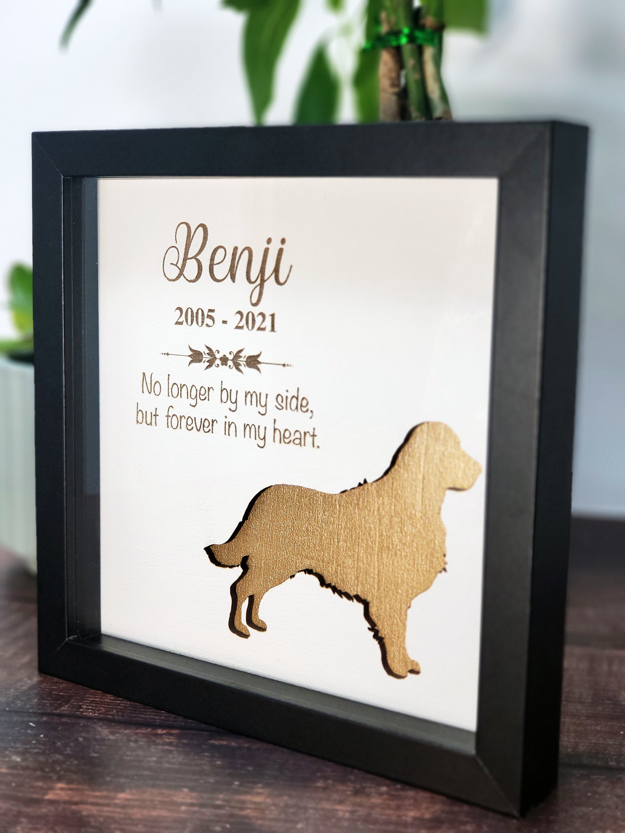 Pet Memorial Shadow Box - Standard / Black