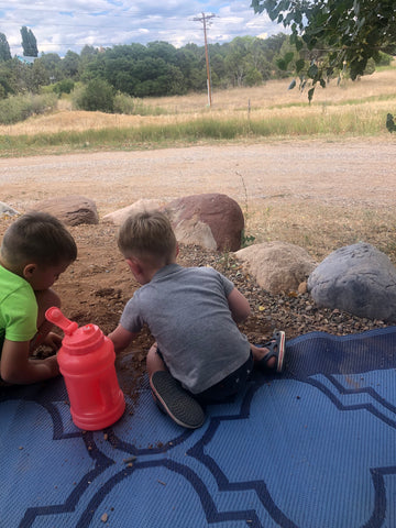Bug playground camping activities