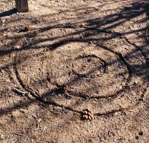 pinecone camping activities