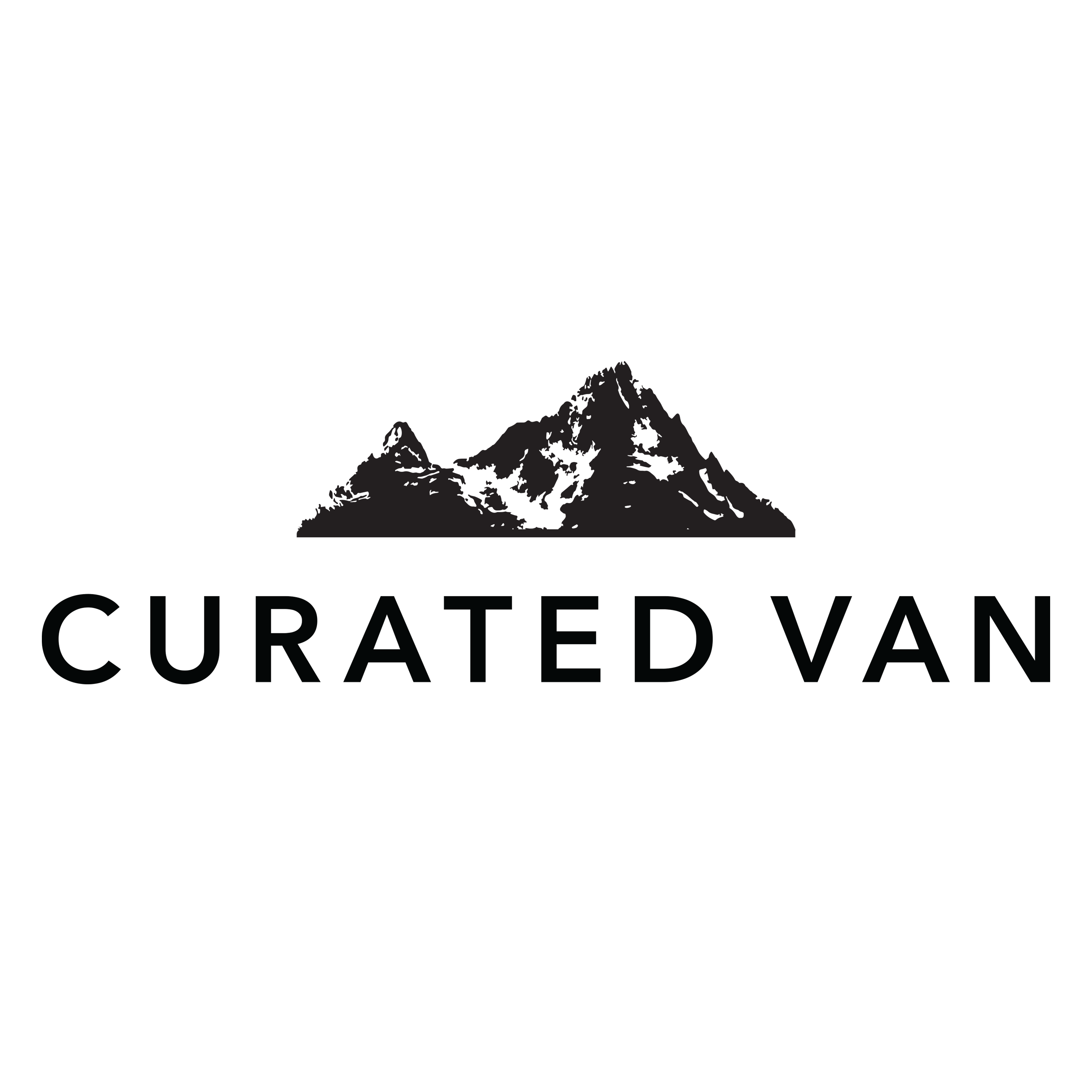 designer curated vans