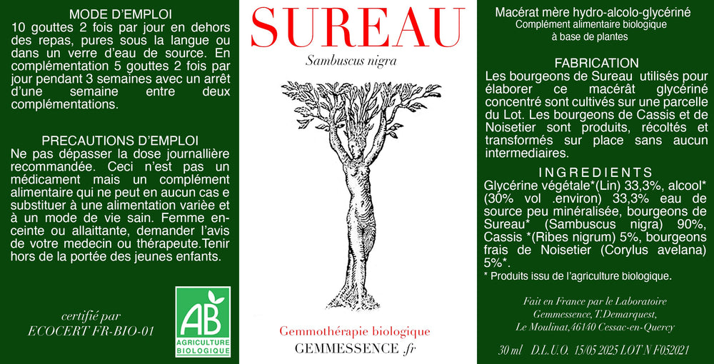 
                  
                    Load image into Gallery viewer, Sureau, Sambuscus nigra
                  
                