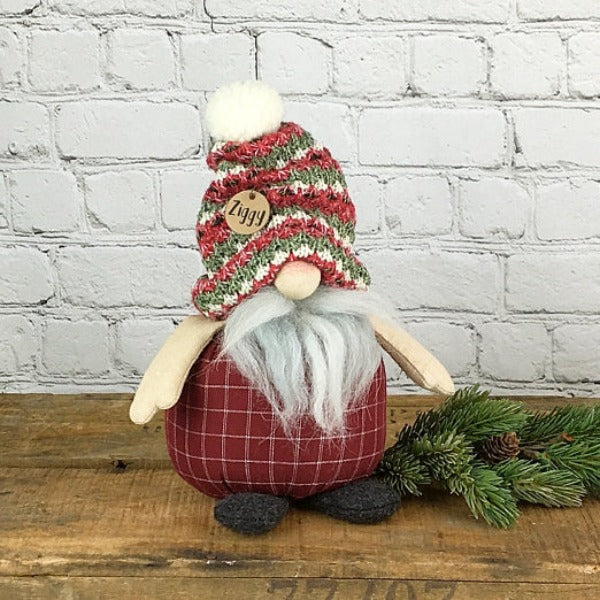 Ziggy the Gnome