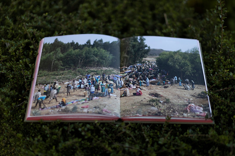 THE CHURCH FORESTS OF ETHIOPIA book