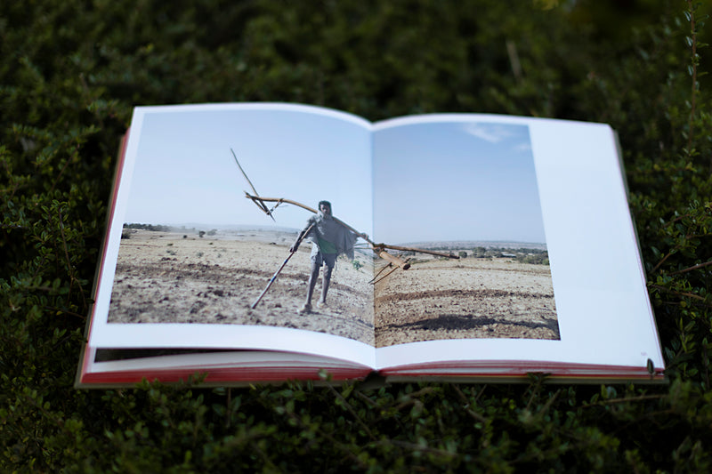 THE CHURCH FORESTS OF ETHIOPIA book