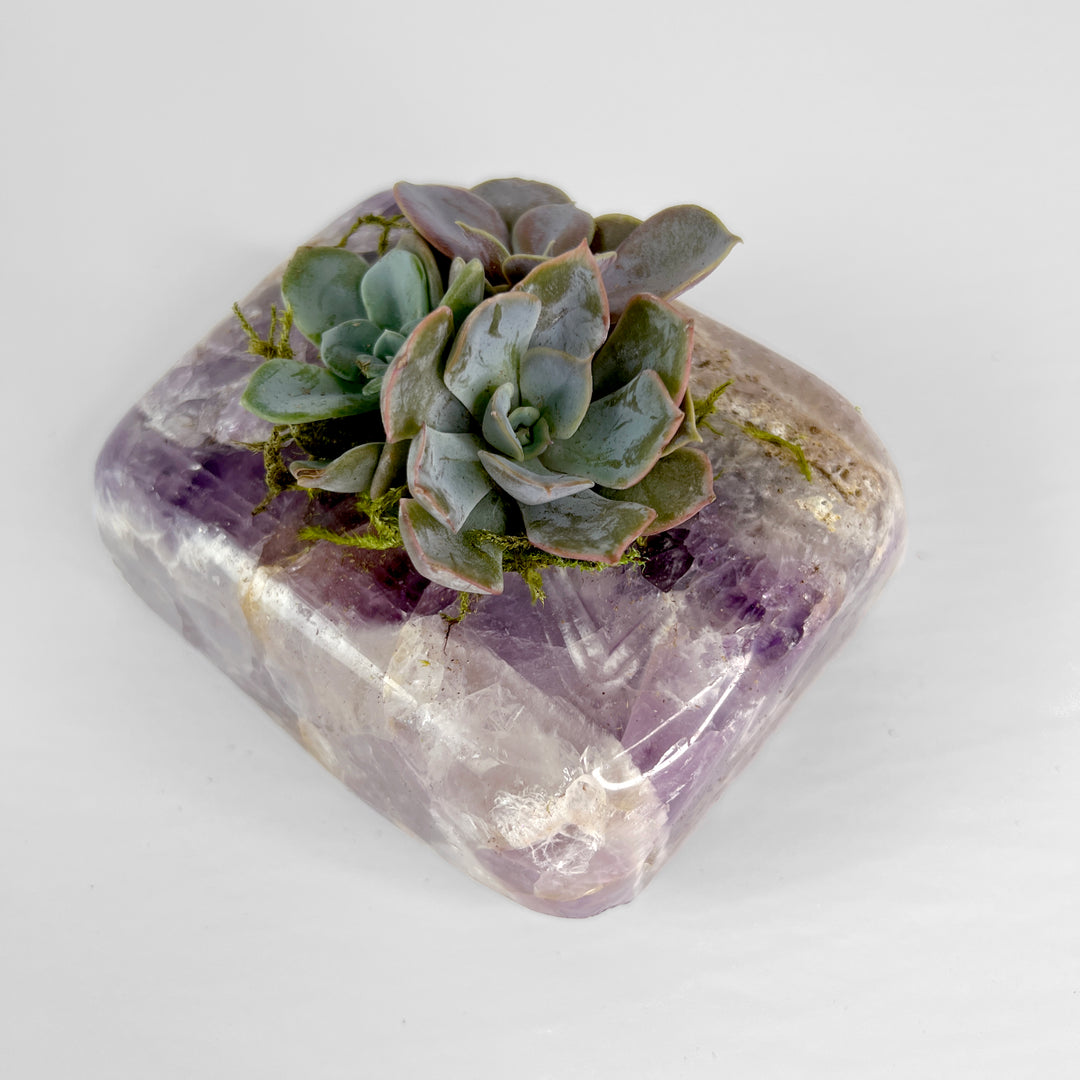 chevron amethyst