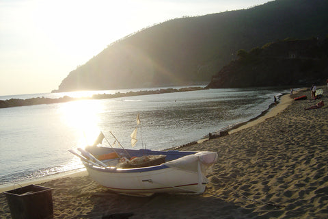 Cinque Terre