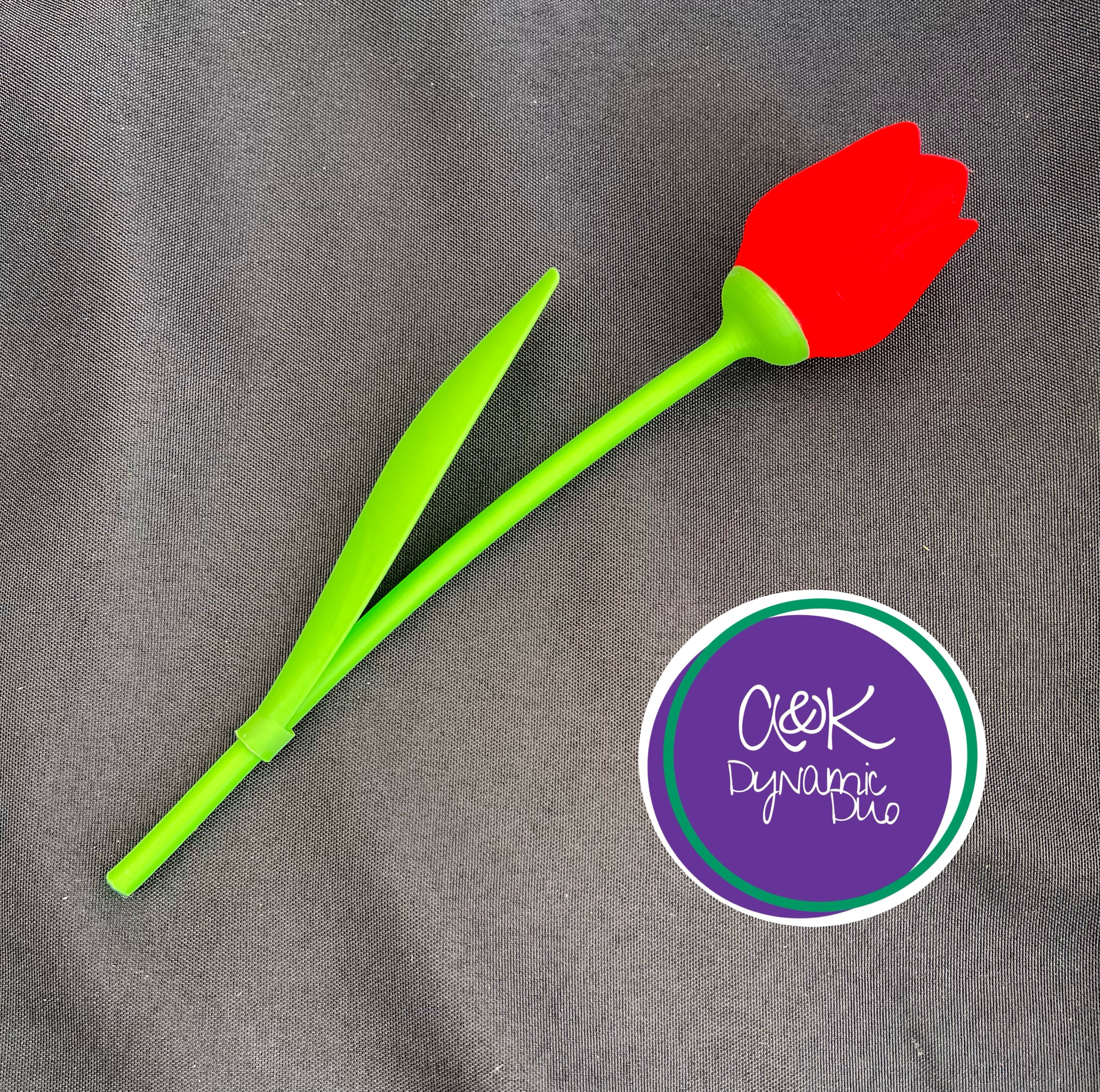 Single Tulip