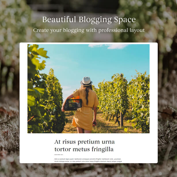 Beautiful Blogging Space