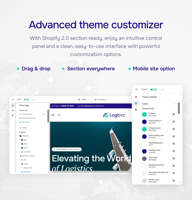 Advanced theme customizer